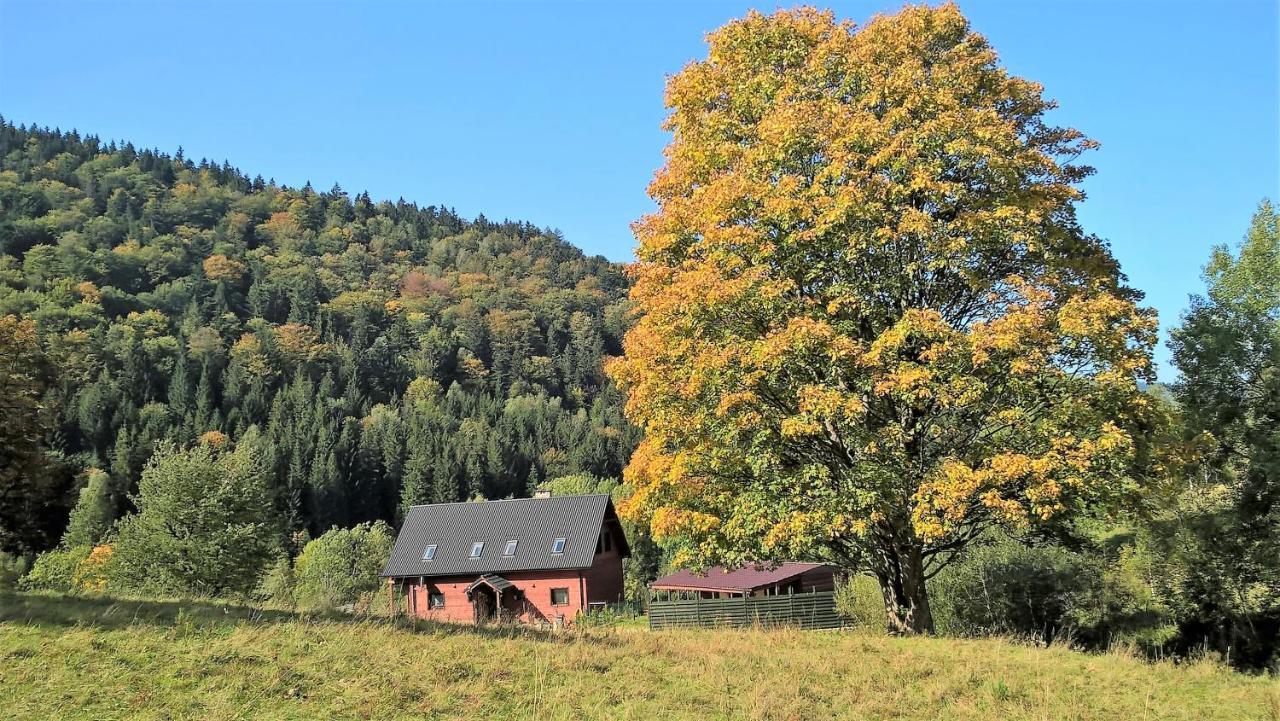 Krolikowka Stronie Śląskie Exterior foto