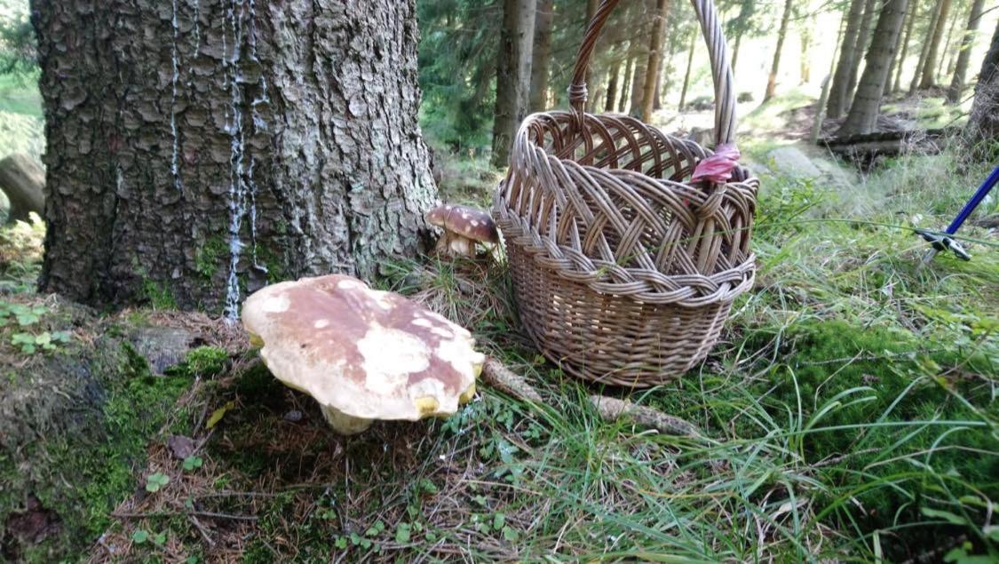 Krolikowka Stronie Śląskie Exterior foto