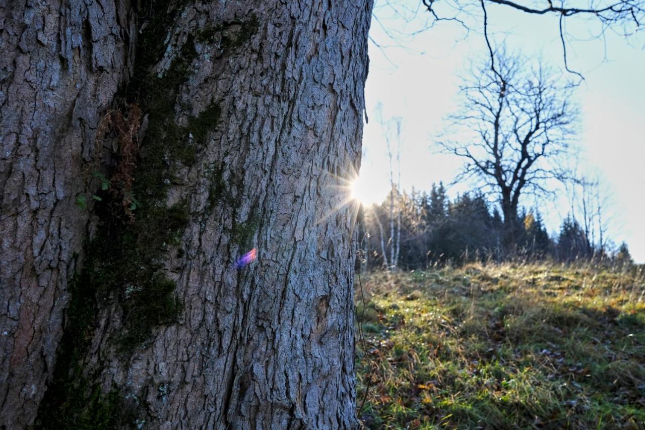 Krolikowka Stronie Śląskie Exterior foto