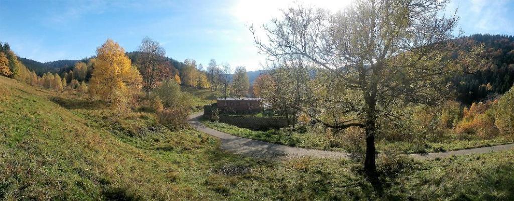 Krolikowka Stronie Śląskie Cameră foto